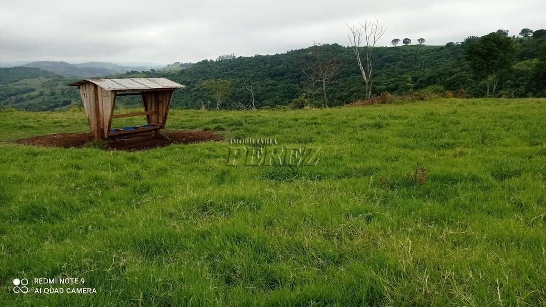 Imóveis Rurais no Fazenda Muquilao à venda no Patrimônio Bela Vista - Londrina/PR - Foto 2