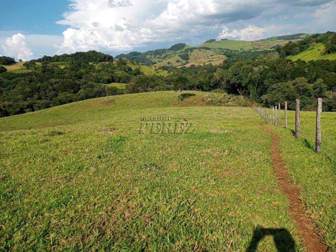 Imóveis Rurais no Fazenda Muquilao à venda no Patrimônio Bela Vista - Londrina/PR - Foto 0