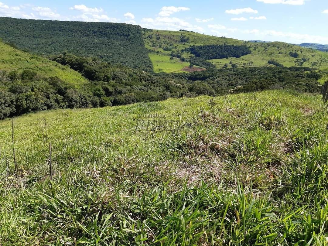 Imóveis Rurais no Fazenda Muquilao à venda no Patrimônio Bela Vista - Londrina/PR - Foto 4