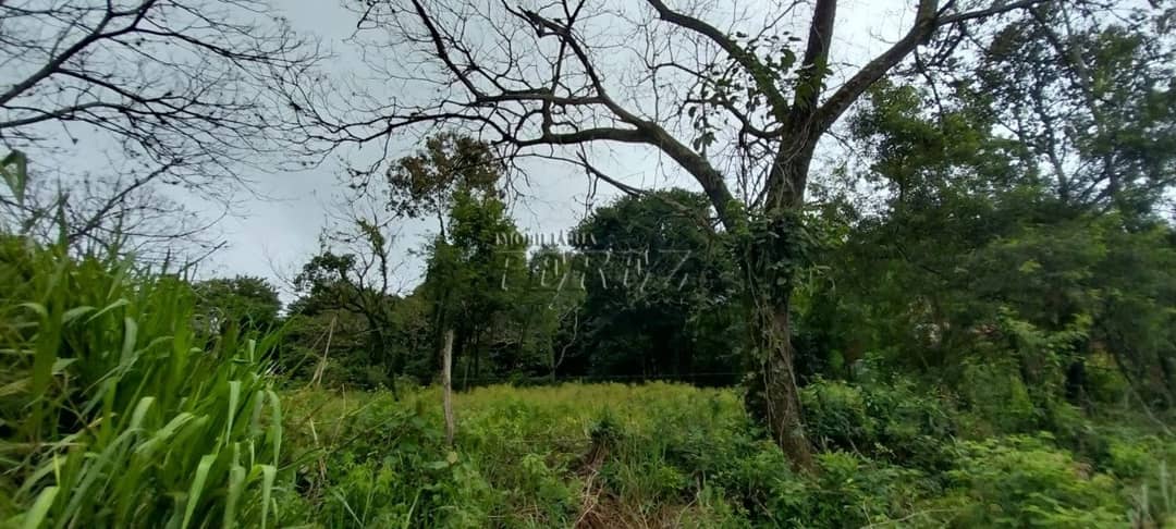 Imóveis Rurais no Chácara Ponte Seca à venda no Chácaras Ponte Seca - Londrina/PR - Foto 2