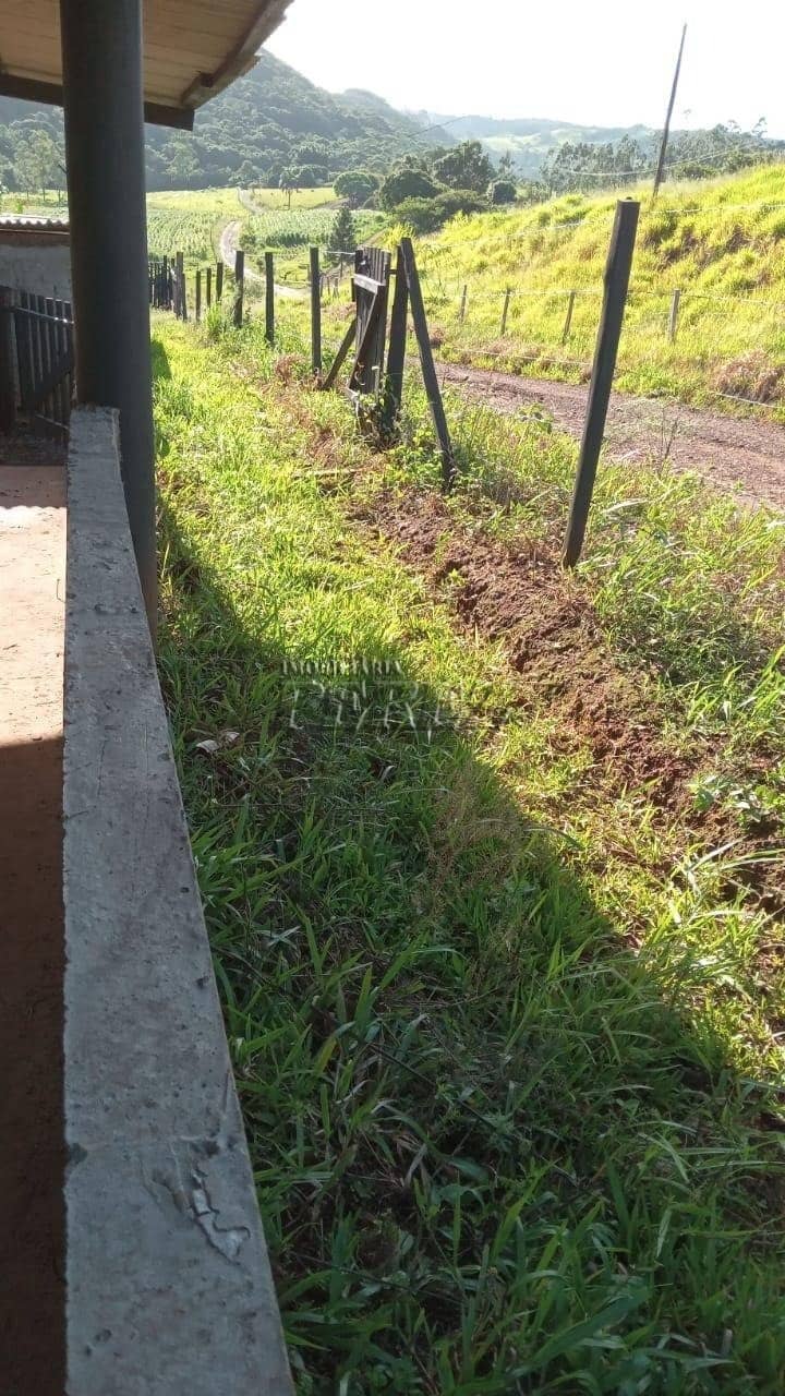 Imóveis Rurais no Sitio Tamarana, de 3 quartos à venda no Tamarana - Tamarana/PR - Foto 2