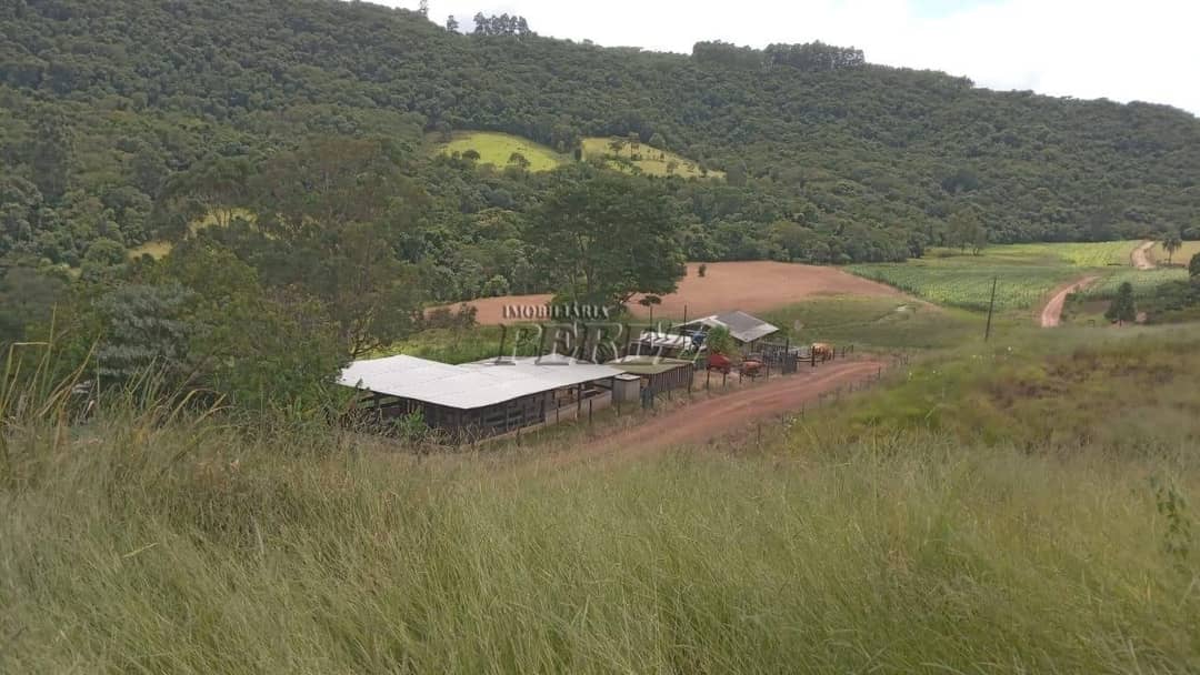 Imóveis Rurais no Sitio Tamarana, de 3 quartos à venda no Tamarana - Tamarana/PR - Foto 0