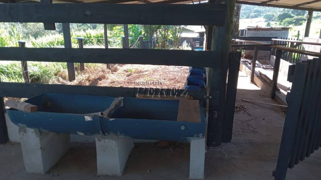 Imóveis Rurais no Sitio Tamarana, de 3 quartos à venda no Tamarana - Tamarana/PR - Foto 4