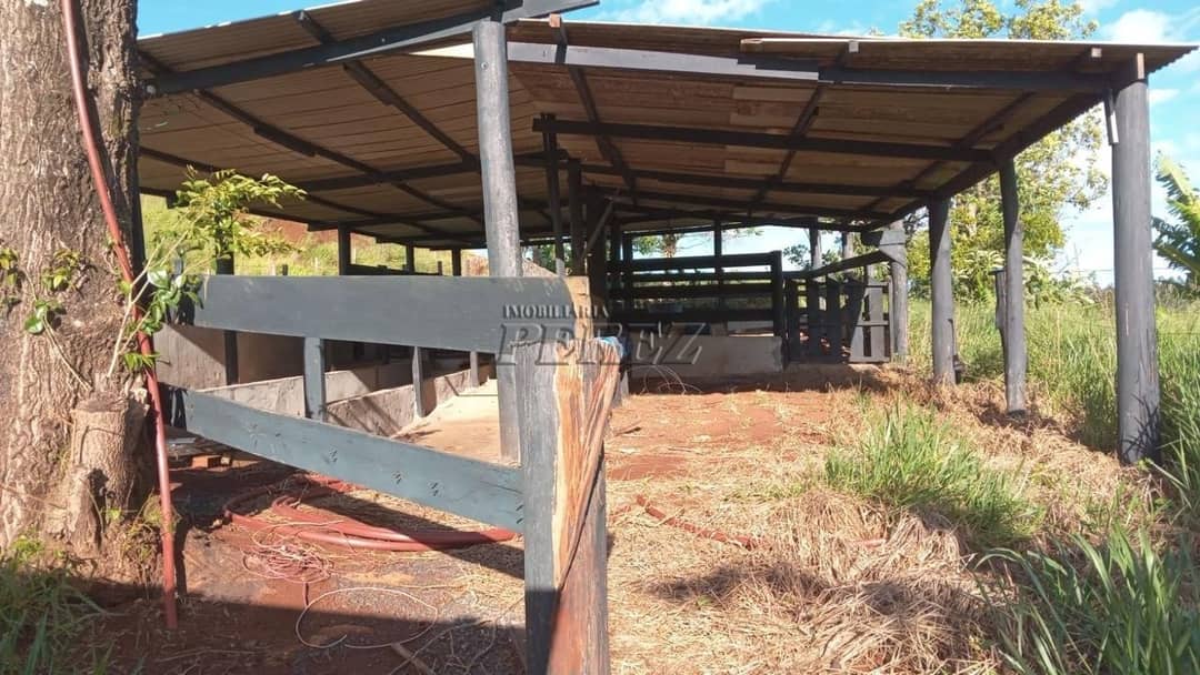 Imóveis Rurais no Sitio Tamarana, de 3 quartos à venda no Tamarana - Tamarana/PR - Foto 3