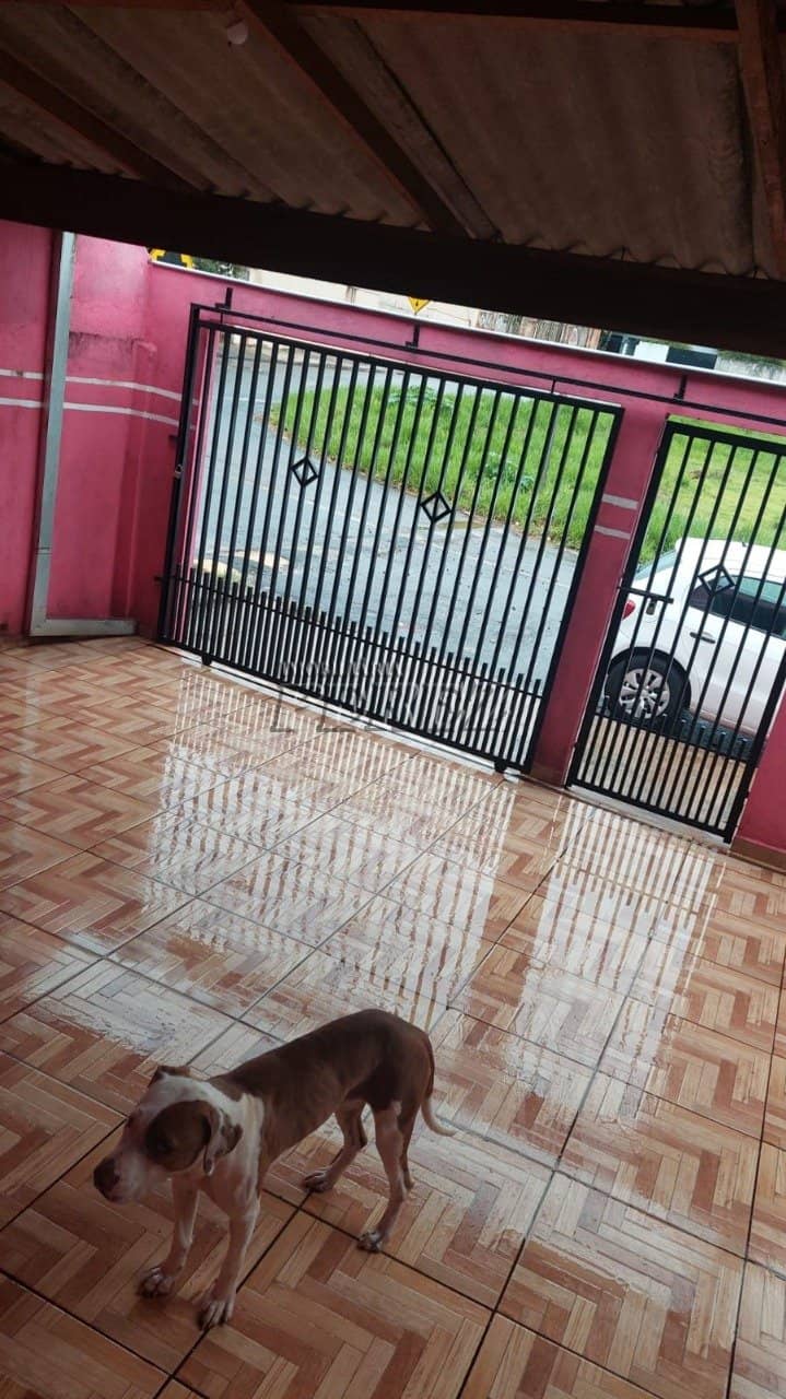 Casa, de 3 quartos à venda no San Fernando - Londrina/PR - Foto 0