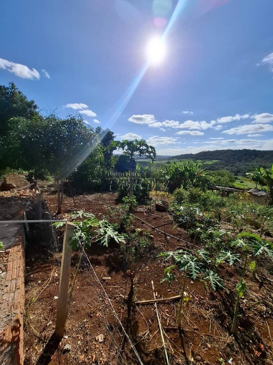 Imóveis Rurais, de 3 quartos à venda no Jataizinho - Jataizinho/PR - Foto 2