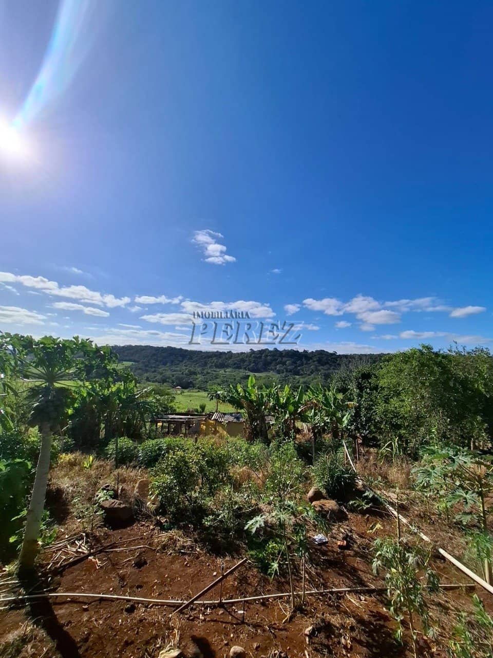 Imóveis Rurais, de 3 quartos à venda no Jataizinho - Jataizinho/PR - Foto 3