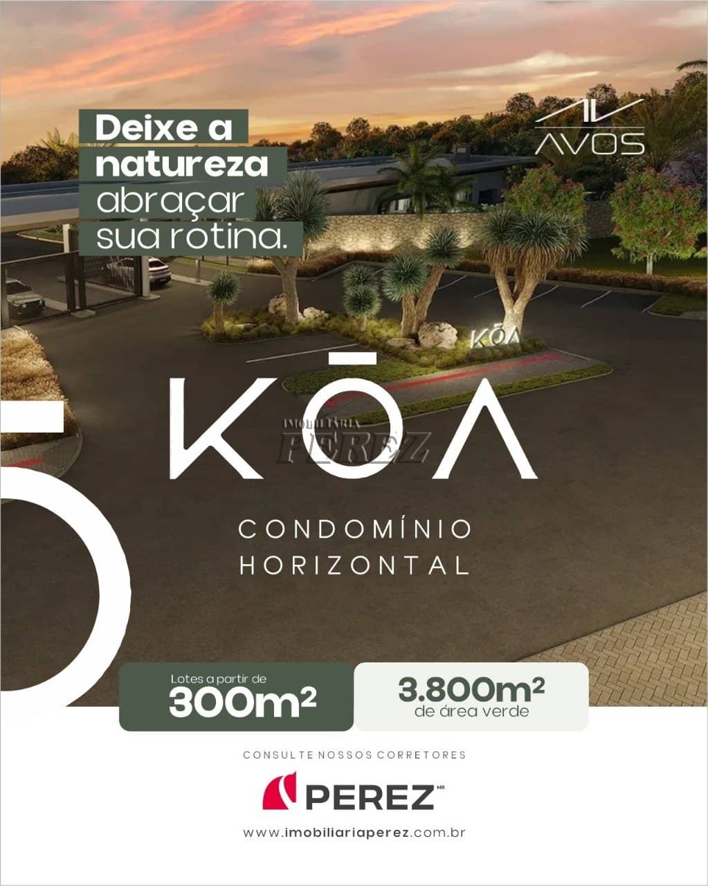 Terrenos no Koa à venda no Esperança - Londrina/PR - Foto 0