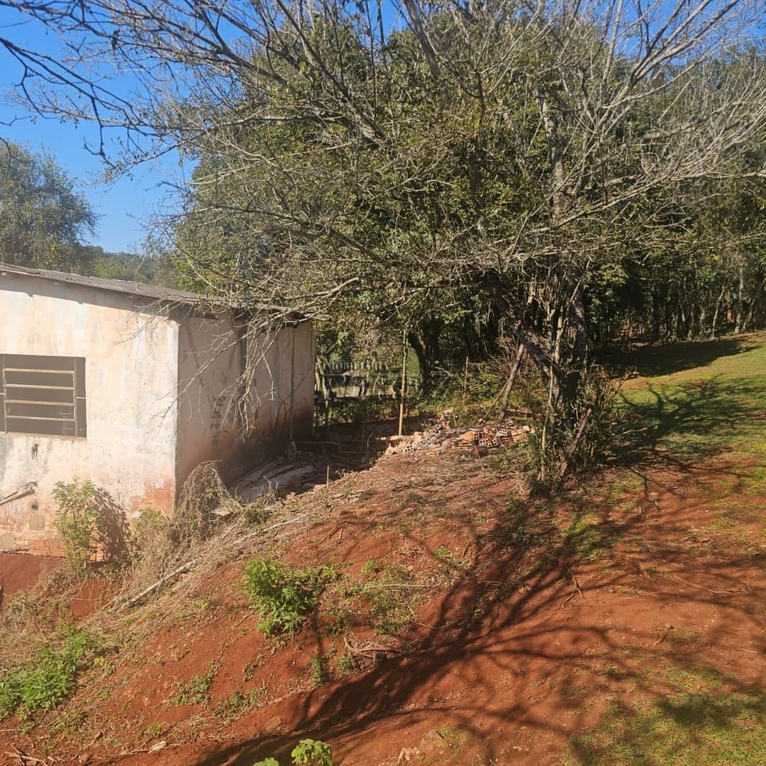 Imóveis Rurais à venda no Gleba Cafezal - Ibiporã/PR - Foto 4