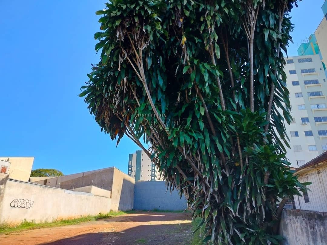 Terreno à venda no CENTRO de Londrina - localização privilegiada e alto potencial de valorização! - Foto 2