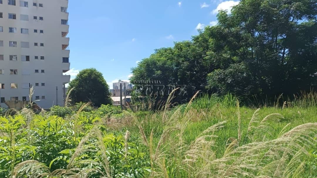 Terreno à Venda na Av. Duque de Caxias - Londrina/PR - Foto 4