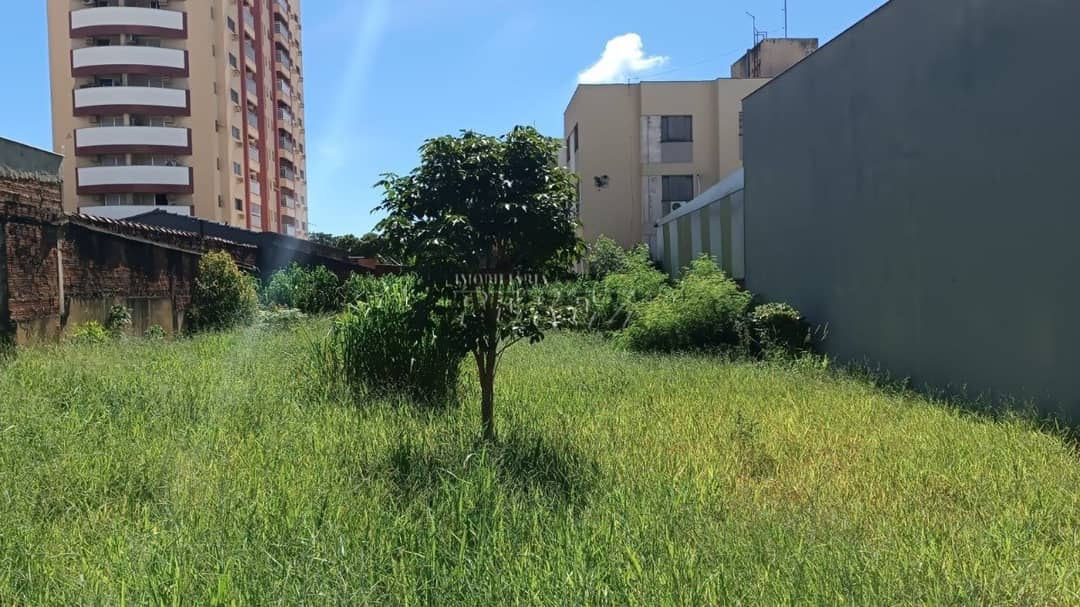 Terreno à Venda na Av. Duque de Caxias no centro de Londrina - Foto 2