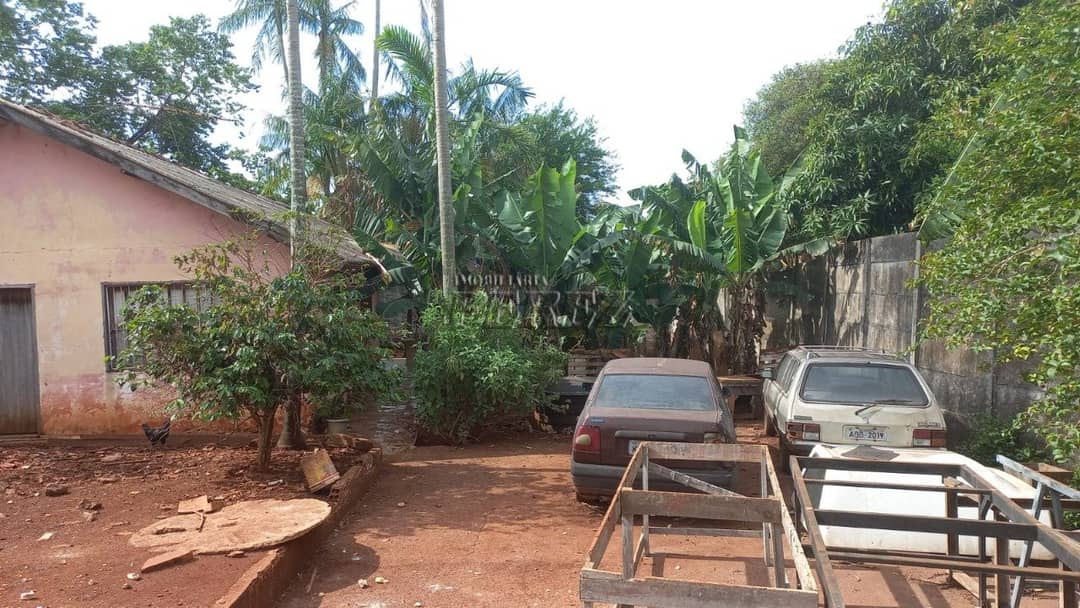 Barracão comercial para venda e locação na região norte de Londrina - Foto 4