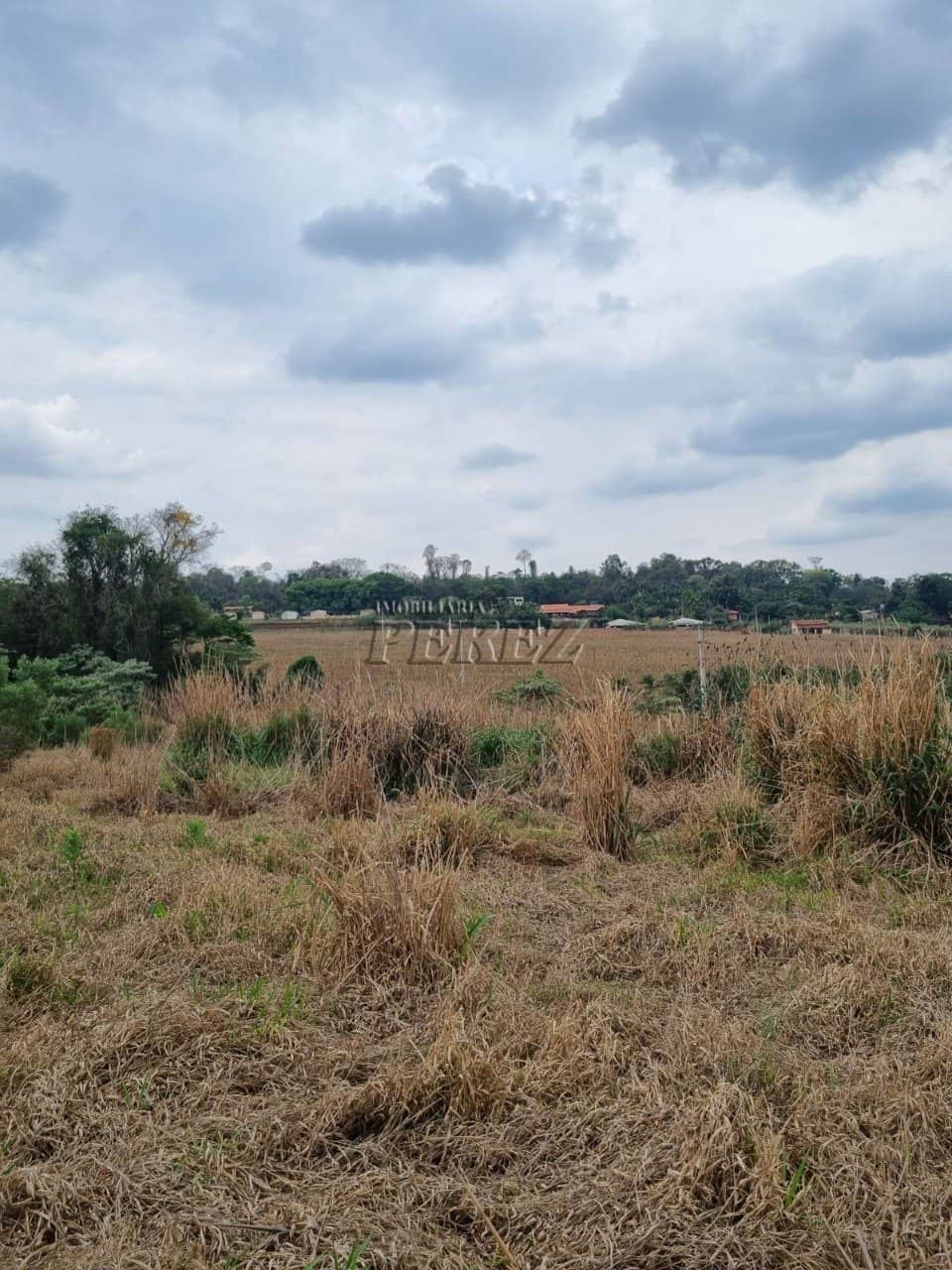 Terreno a venda no Jardim Padovani em Rolândia - Rua Antônio Huss - Foto 0