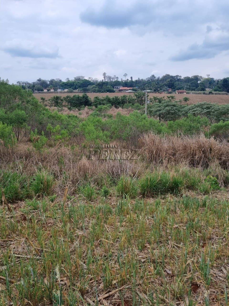 Terreno a venda no Jardim Padovani em Rolândia - Rua Antônio Huss - Foto 2