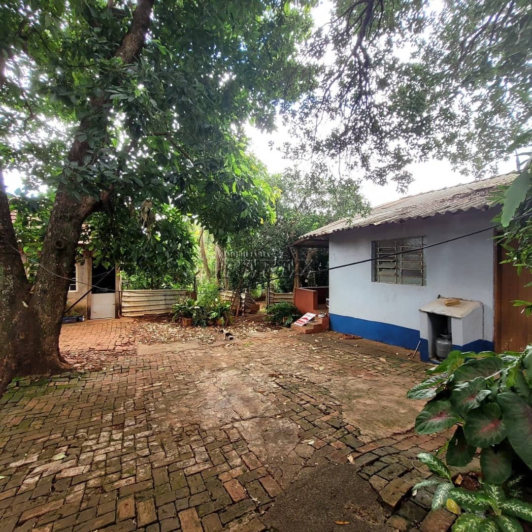 Chácara Rural Urbana à venda na Av das Laranjeiras na região leste de Londrina - Foto 4