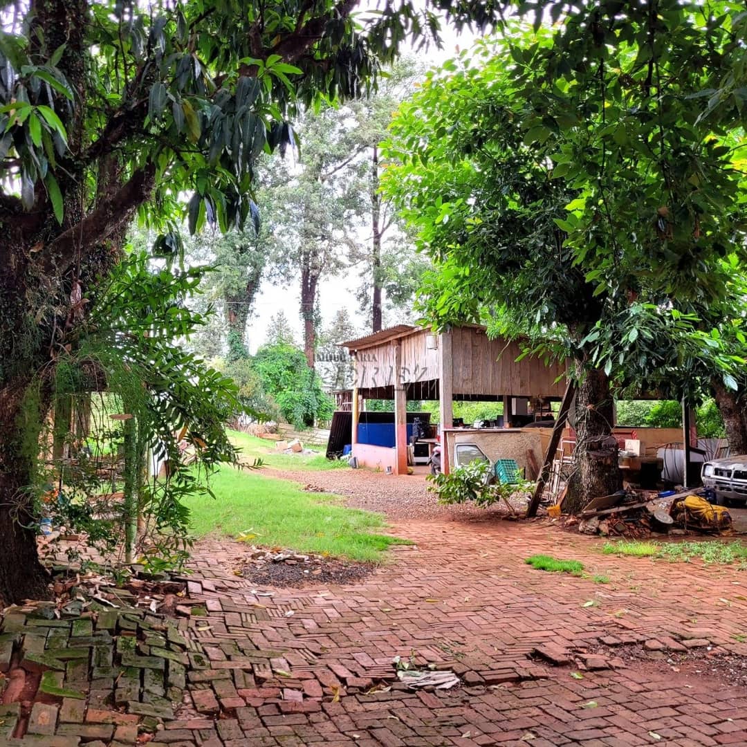 Chácara Rural Urbana à venda na Av das Laranjeiras na região leste de Londrina - Foto 3