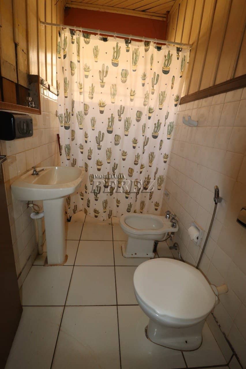 casa para alugar no jardim Petrópolis região central - Foto 4