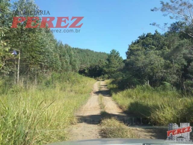 Imóveis Rurais, de 1 quarto, 1306800 m² à venda no Rural - Ortigueira/PR - Foto 1