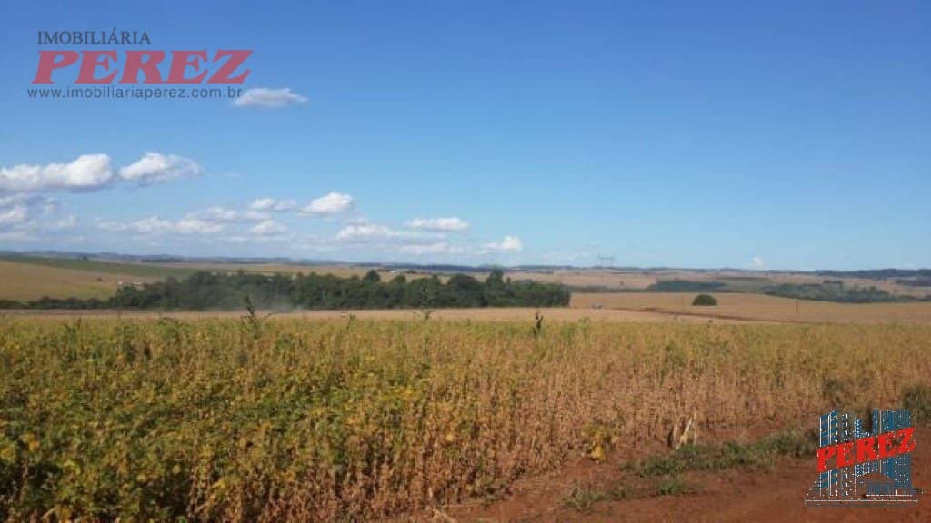 Imóveis Rurais à venda no Limoeiro - Londrina/PR - Foto 3