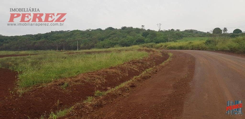 Terrenos à venda no Usina Tres Bocas - Distr.MAravilha/PR - Foto 4