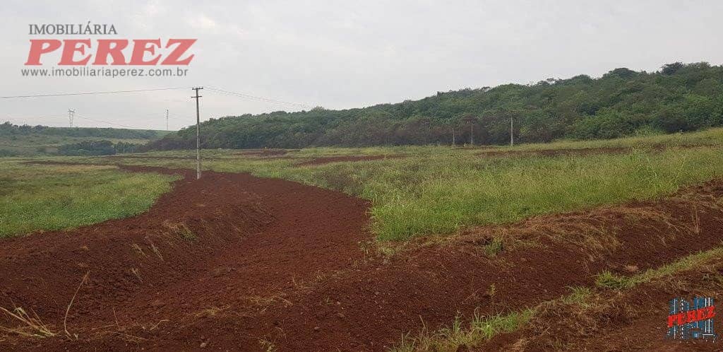 Terrenos à venda no Usina Tres Bocas - Distr.MAravilha/PR - Foto 3