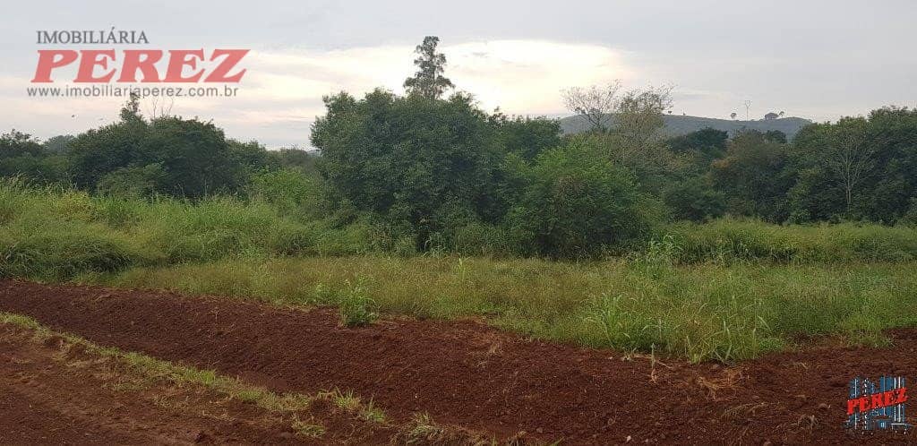 Terrenos à venda no Usina Tres Bocas - Distr.MAravilha/PR - Foto 2