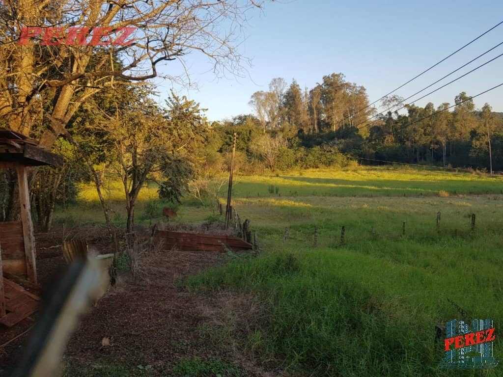 Imóveis Rurais, de 3 quartos, 10000 m² à venda no Usina Tres Bocas - Londrina/PR - Foto 2