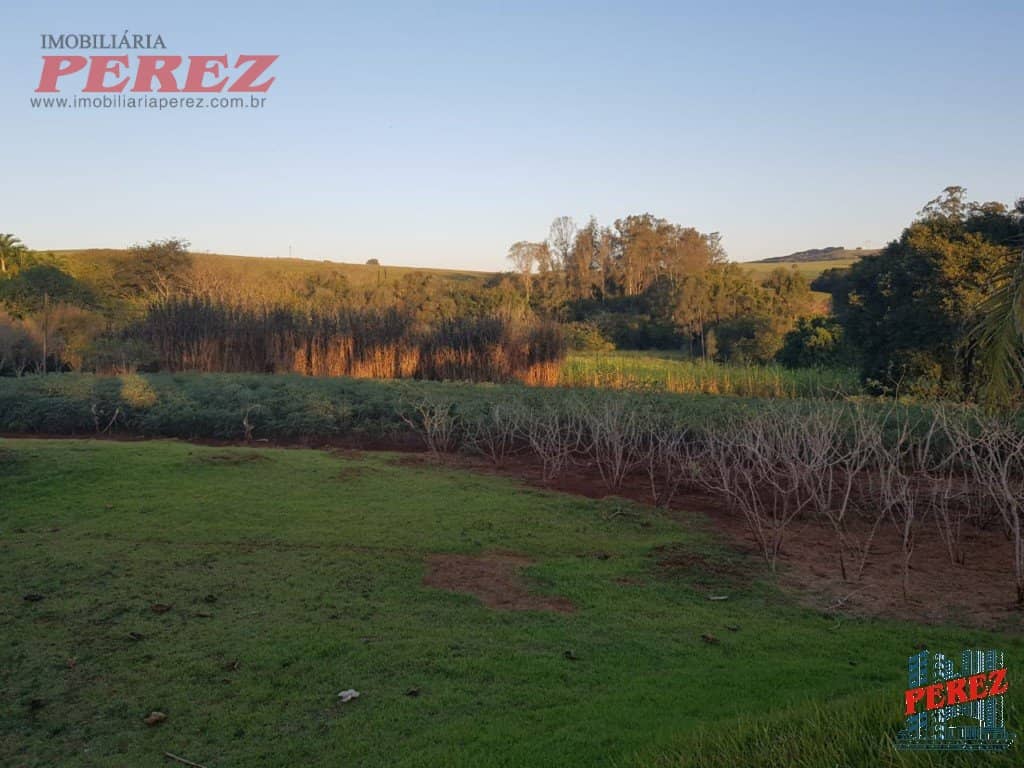 Imóveis Rurais, de 3 quartos, 10000 m² à venda no Usina Tres Bocas - Londrina/PR - Foto 4