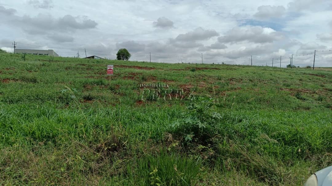 Terrenos à venda no Estância Dlaville - Londrina/PR - Foto 1
