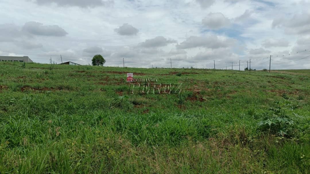 Terrenos à venda no Estância Dlaville - Londrina/PR - Foto 3