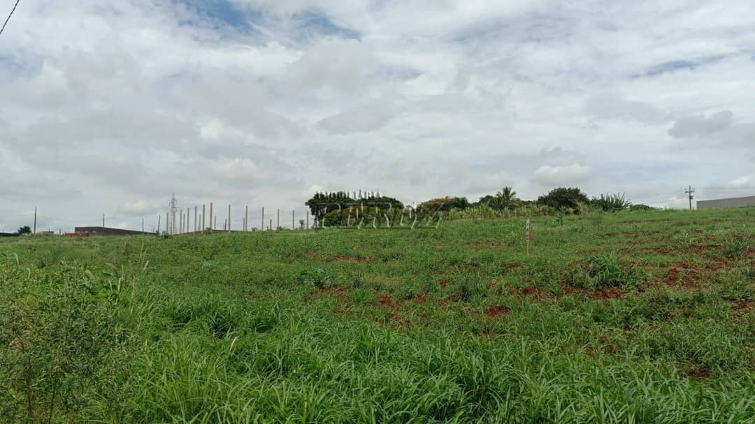 Terrenos à venda no Estância Dlaville - Londrina/PR - Foto 4