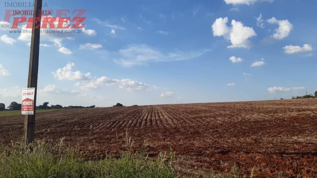 Imóveis Rurais, de 1 quarto, 48000 m² à venda no Espirito Santo - Londrina/PR - Foto 3