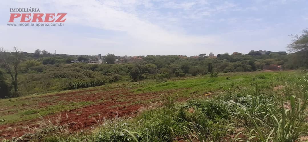 Terrenos à venda no Nikko - Londrina/PR - Foto 4