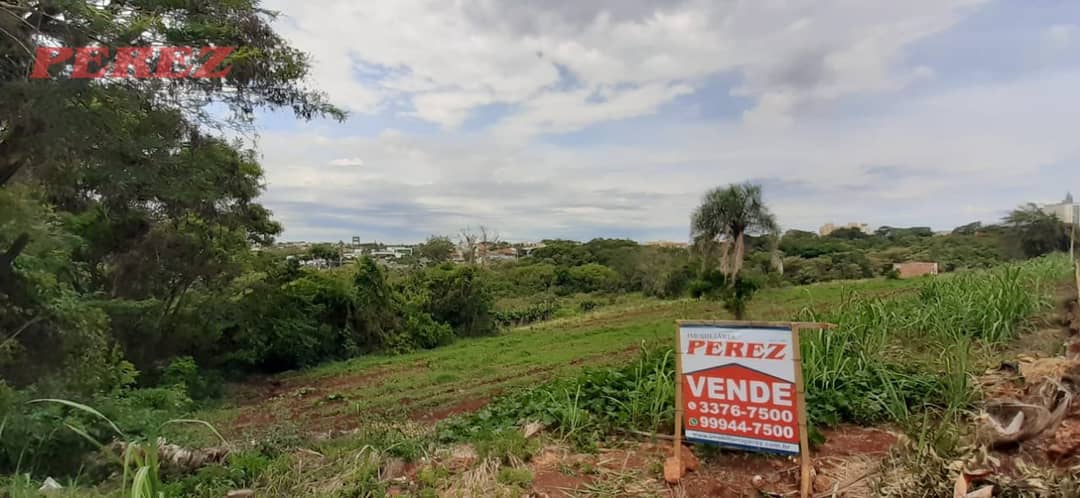 Terrenos à venda no Nikko - Londrina/PR - Foto 1
