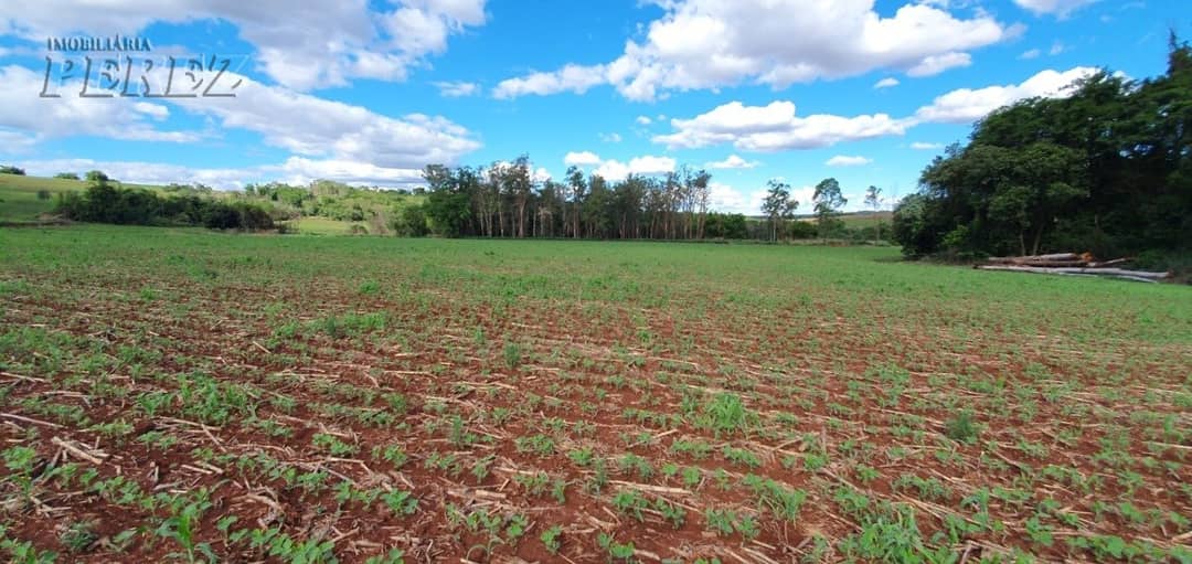 Imóveis Rurais no Loteamento Poço Bonito, de 1 quarto, 20000 m² à venda no Rural - Ibiporã/PR - Foto 2