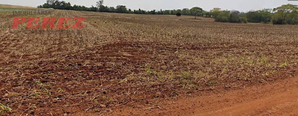 Imóveis Rurais, de 1 quarto à venda no Espirito Santo - Londrina/PR - Foto 0