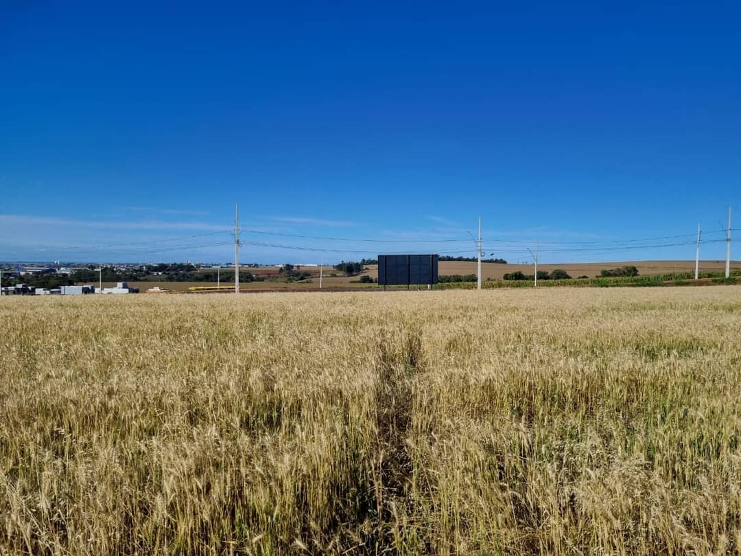 Terrenos à venda no Gleba Ribeirao Limoeiro - Londrina/PR - Foto 2