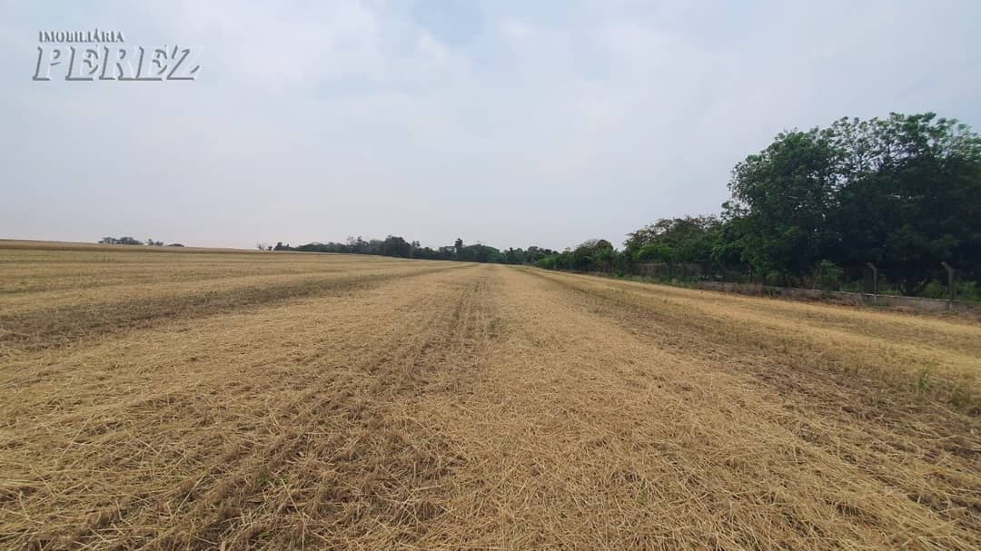 Terrenos à venda no Espirito Santo - Distr. Espirito Santo/PR - Foto 1