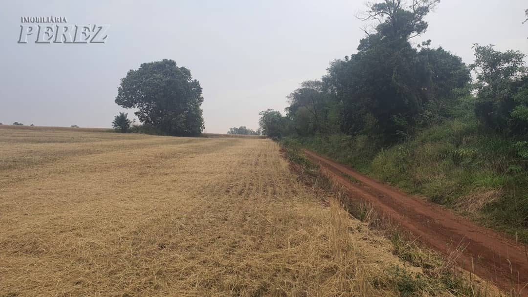Terrenos à venda no Espirito Santo - Distr. Espirito Santo/PR - Foto 2