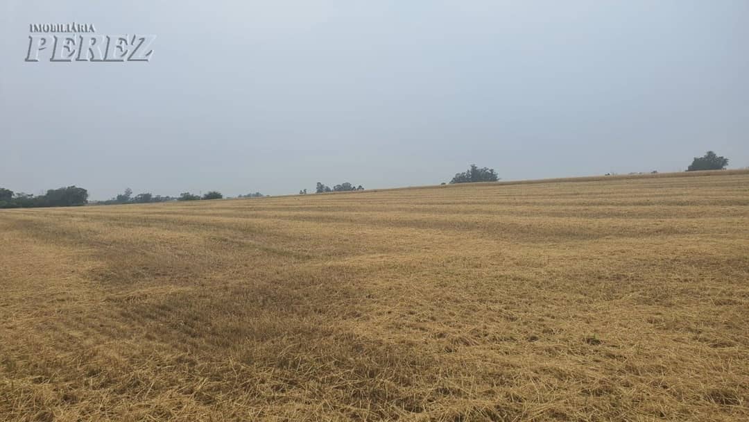 Terrenos à venda no Espirito Santo - Distr. Espirito Santo/PR - Foto 3