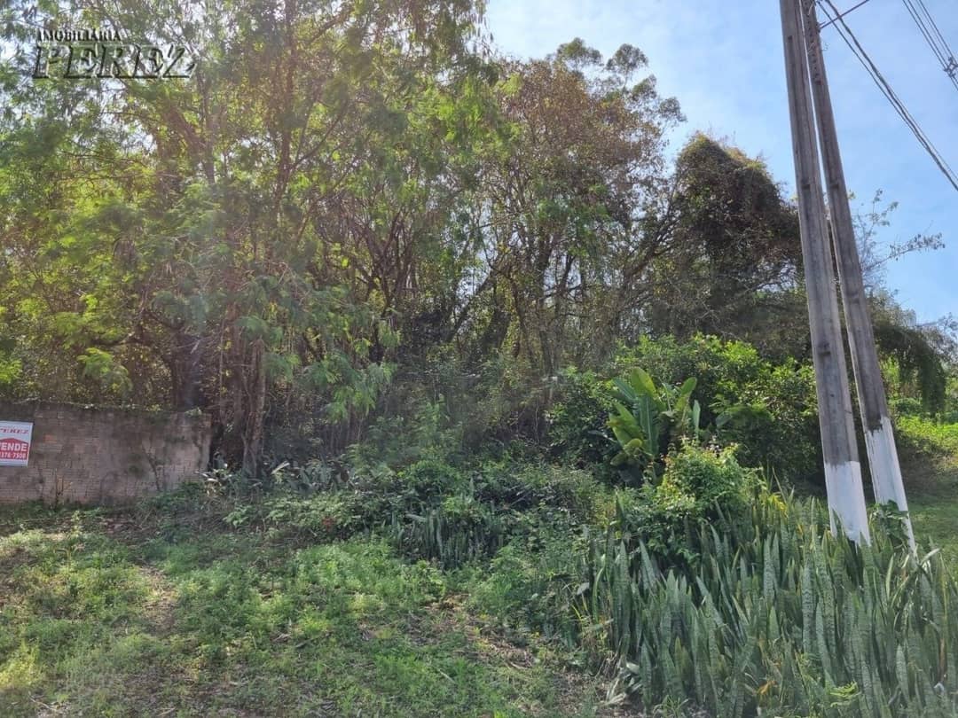 Imóveis Rurais, de 1 quarto, 2990.7 m² à venda no Chácaras Ponte Seca - Londrina/PR - Foto 1