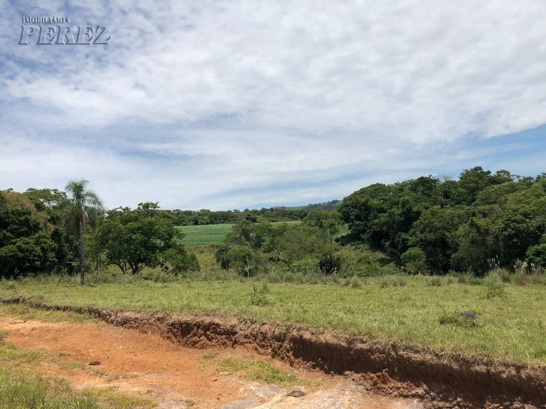 Imóveis Rurais, de 1 quarto à venda no Marumbi - Faxinal/PR - Foto 1