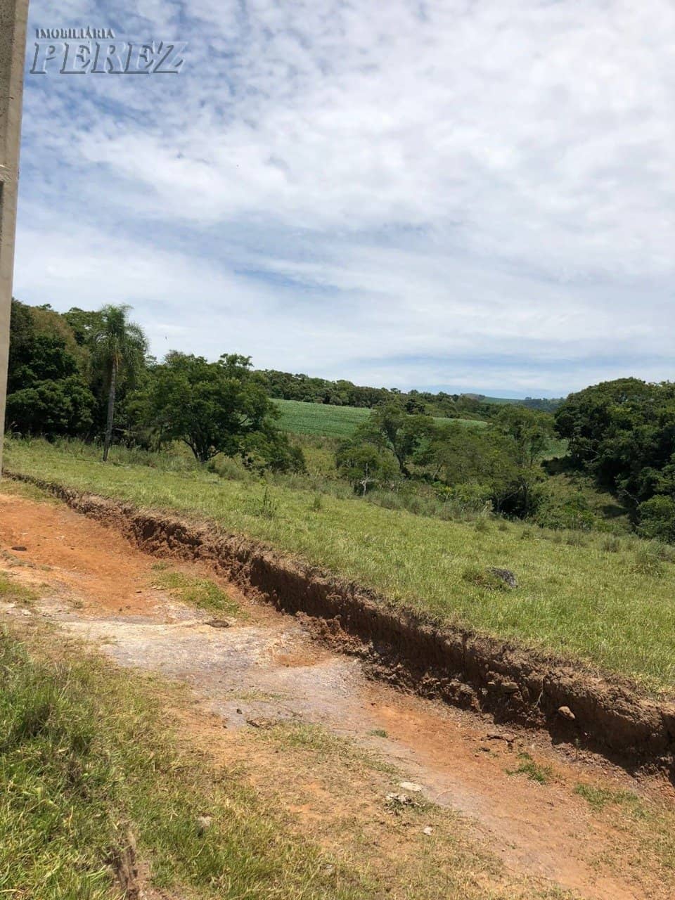 Imóveis Rurais, de 1 quarto à venda no Marumbi - Faxinal/PR - Foto 2