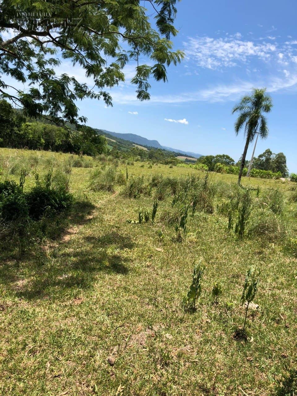 Imóveis Rurais, de 1 quarto à venda no Marumbi - Faxinal/PR - Foto 3