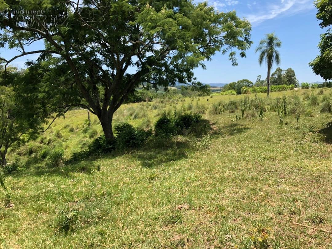 Imóveis Rurais, de 1 quarto à venda no Marumbi - Faxinal/PR - Foto 4