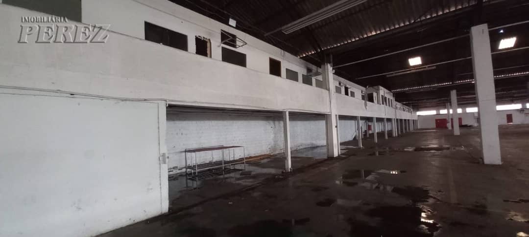 Galpão, 7000 m² para alugar no Gleba Patrimonio Londrina - Londrina/PR - Foto 3