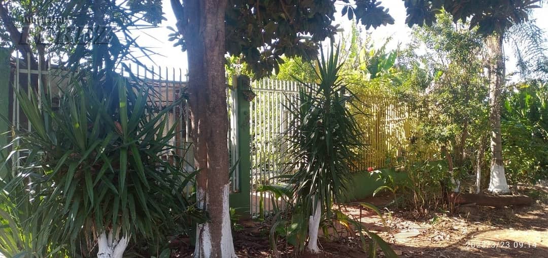 Casa, de 1 quarto, 158 m² à venda no Vila Larsen 1 - Londrina/PR - Foto 1