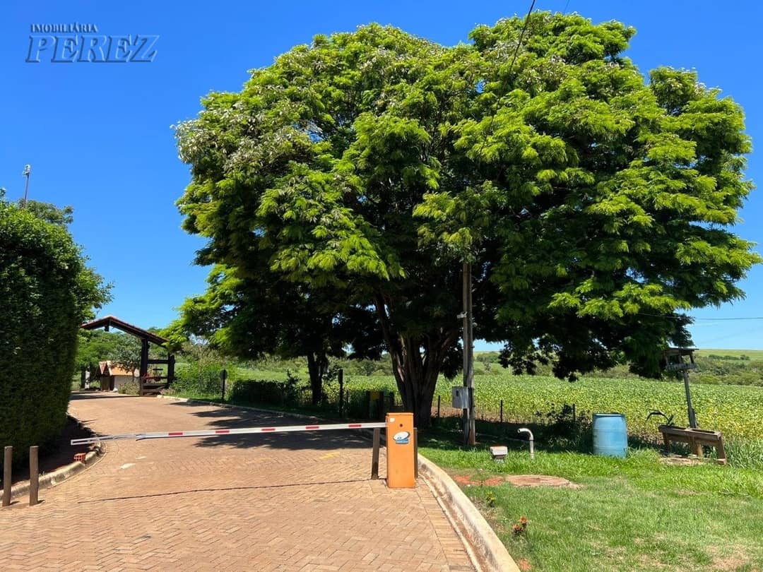 Imóveis Rurais no Recanto Towako, de 1 quarto à venda no Centenário Do Sul - Centenário Do Sul/PR - Foto 2