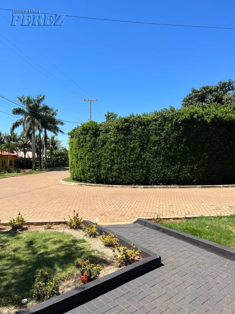 Imóveis Rurais no Recanto Towako, de 1 quarto à venda no Centenário Do Sul - Centenário Do Sul/PR - Foto 4
